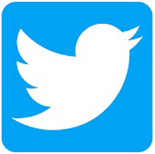 Twitter Logo