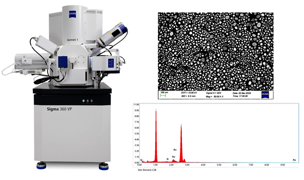 Sigma 360 FE-SEM photo