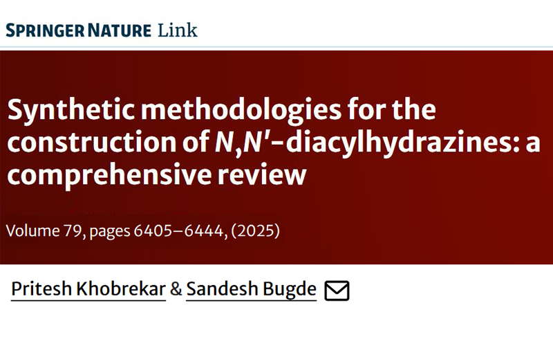 Chemical Papers. 79(10); 2025; 6405-6444