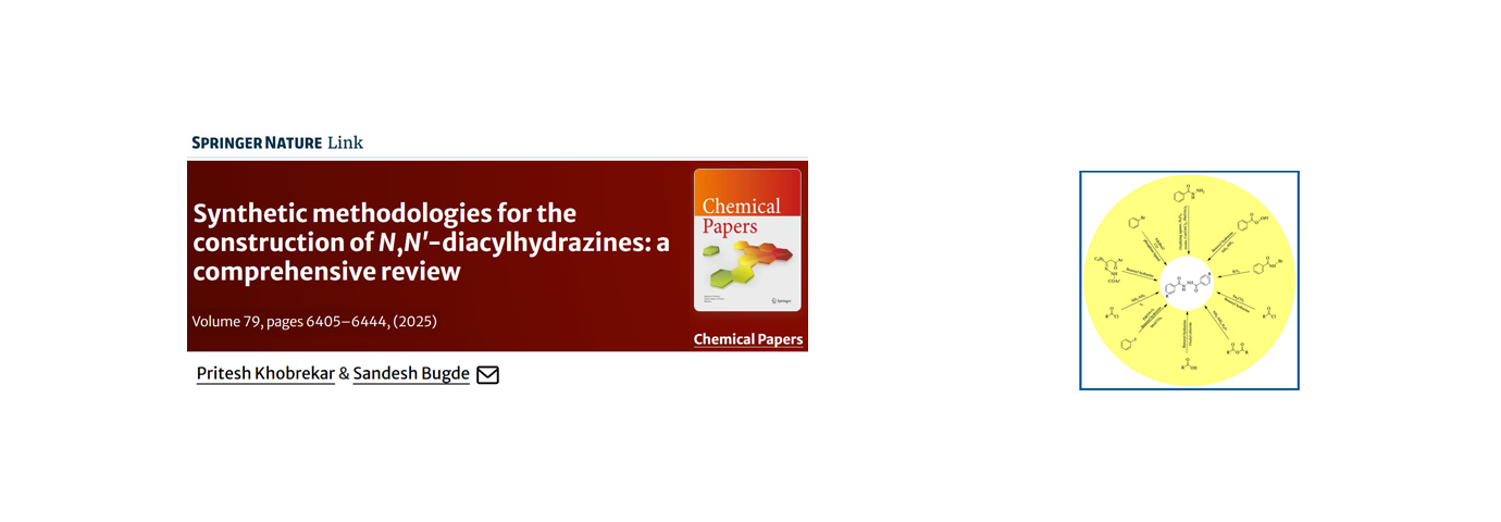 Chemical Papers. 79(10); 2025; 6405-6444