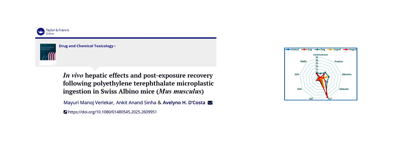 Drug and Chemical Toxicology  - IR 7762