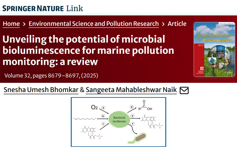 Environmental Science and Pollution Research.  2025 - IR 7534