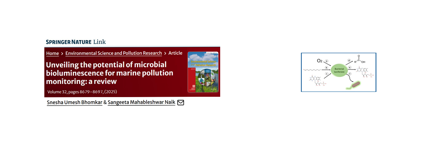 Environmental Science and Pollution Research.  2025 - IR 7534