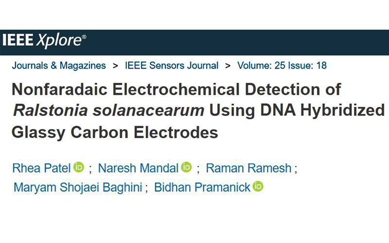 IEEE Sensors Journal. 25(18); 2025; 34348-34354.