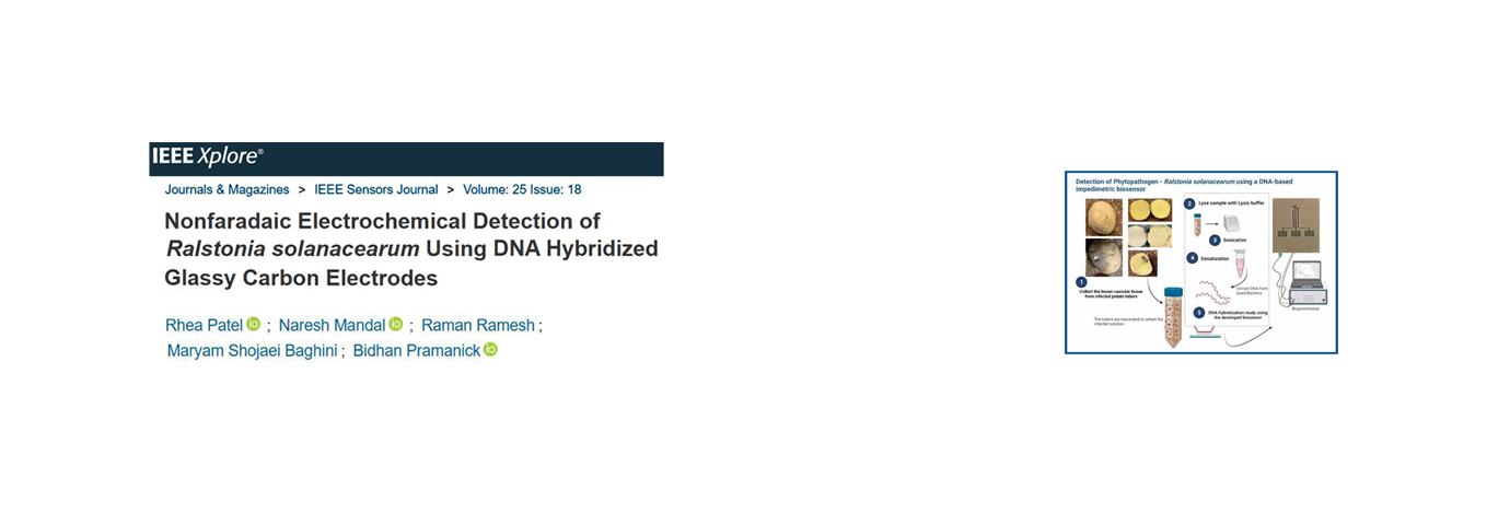 IEEE Sensors Journal. 25(18); 2025; 34348-34354.