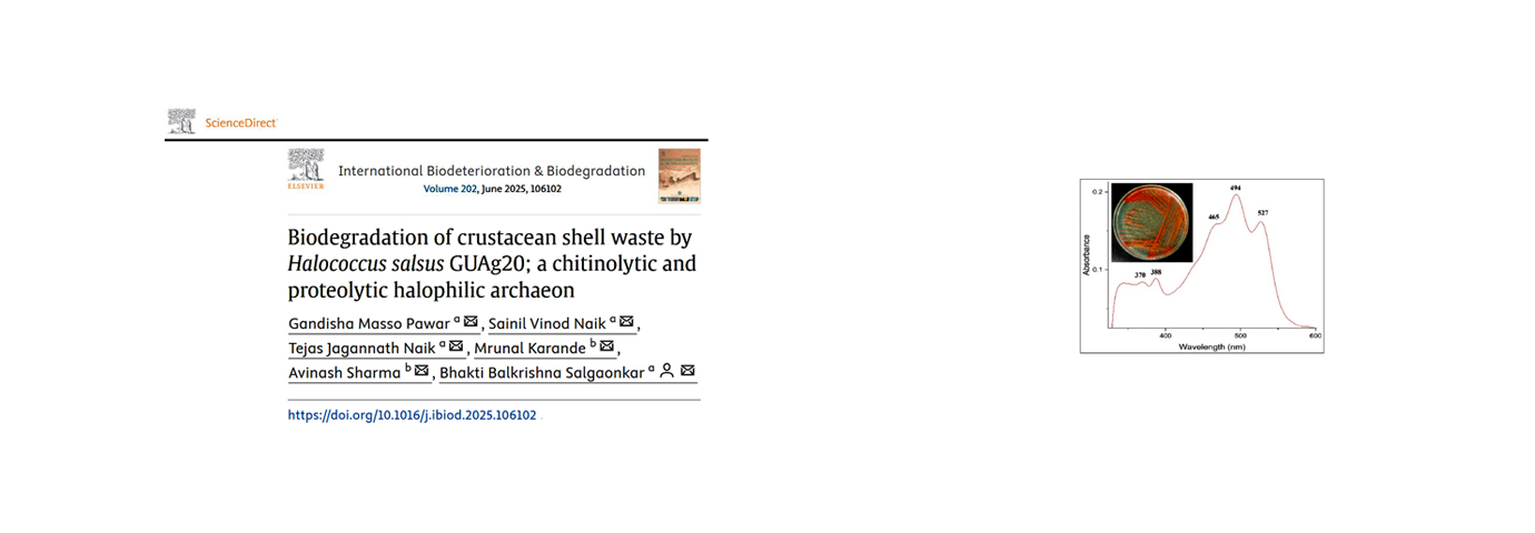 International Biodeterioration and Biodegradation. 202; 2025; ArticleID_106102.