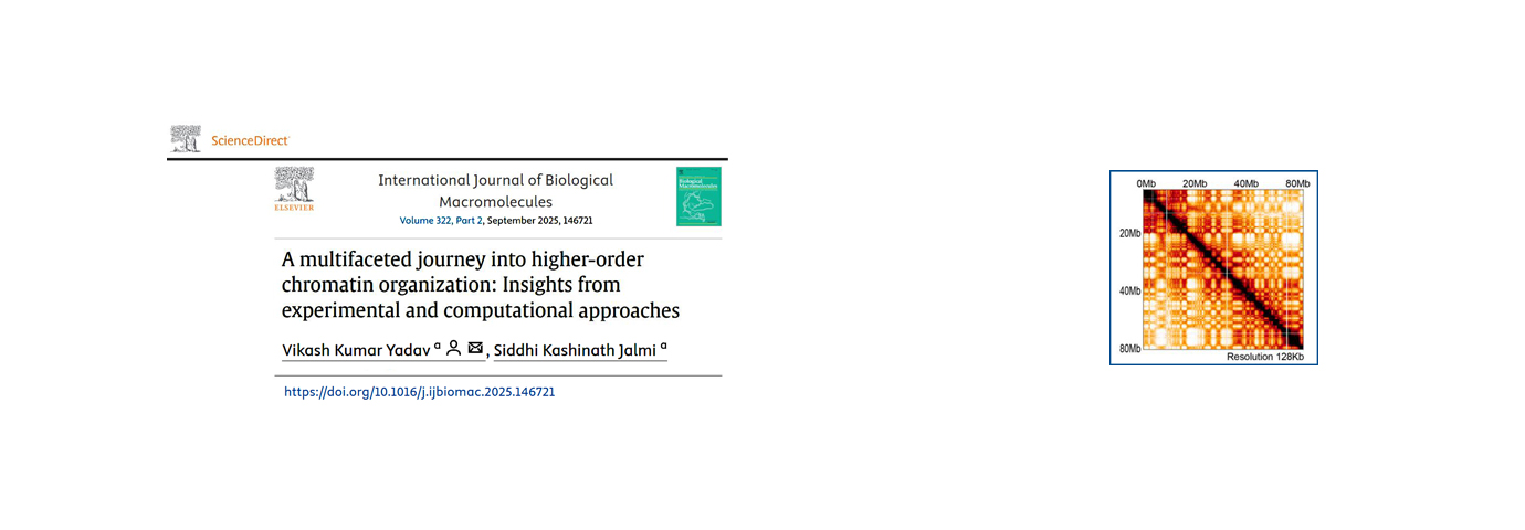 International Journal of Biological Macromolecules. 322(2); 2025; ArticleID_146721