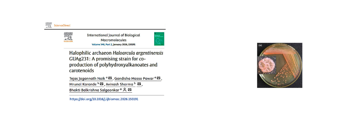 International Journal of Biological Macromolecules. 340(Part 2); 2026; ArticleID_150191