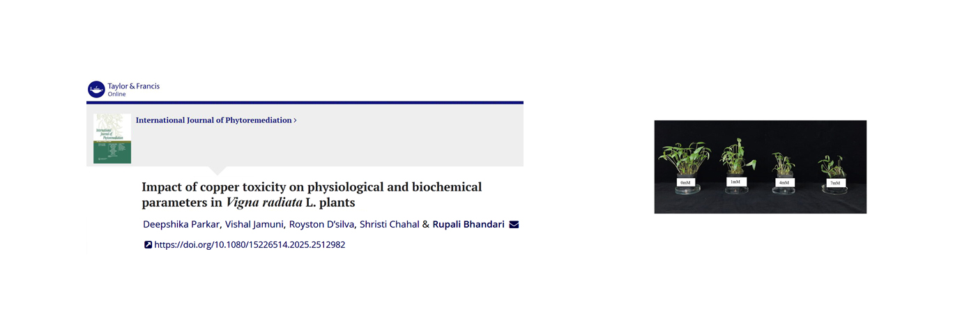 International Journal of Phytoremediation, IR 7587