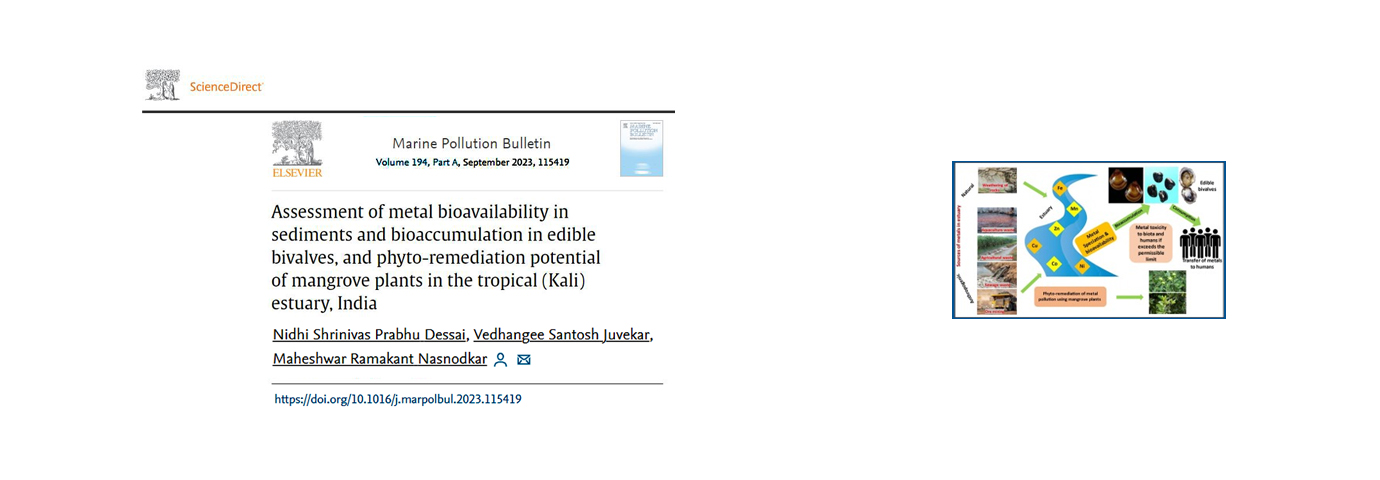 Marine Pollution Bulletin. 194(Part-A); 2023; ArticleID_115419