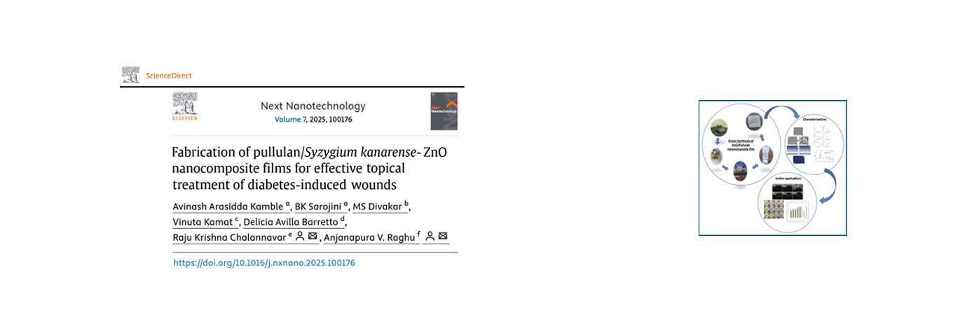 Next Nanotechnology. 7; 2025; ArticleID_100176.