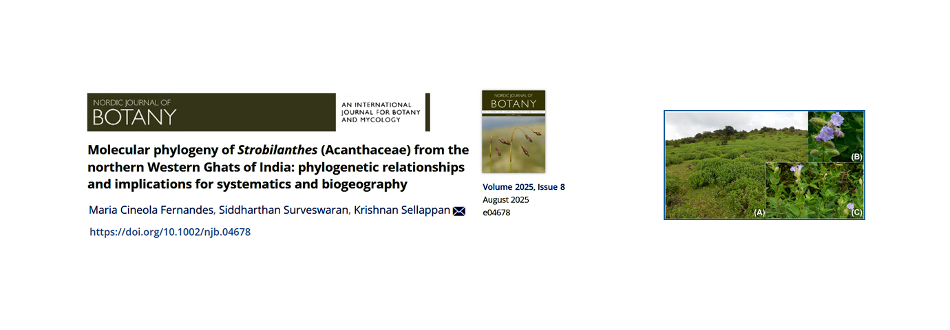 Nordic Journal of Botany. 2025(10); 2025; ArticleID_e04678.
