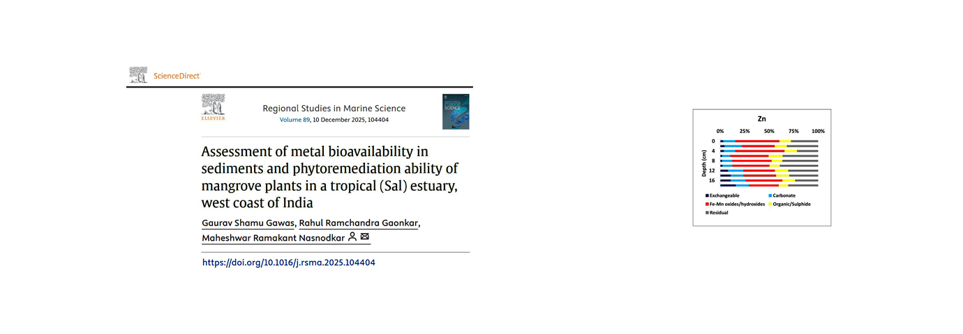 Regional Studies in Marine Science. 89; 2025; ArticleID_104404