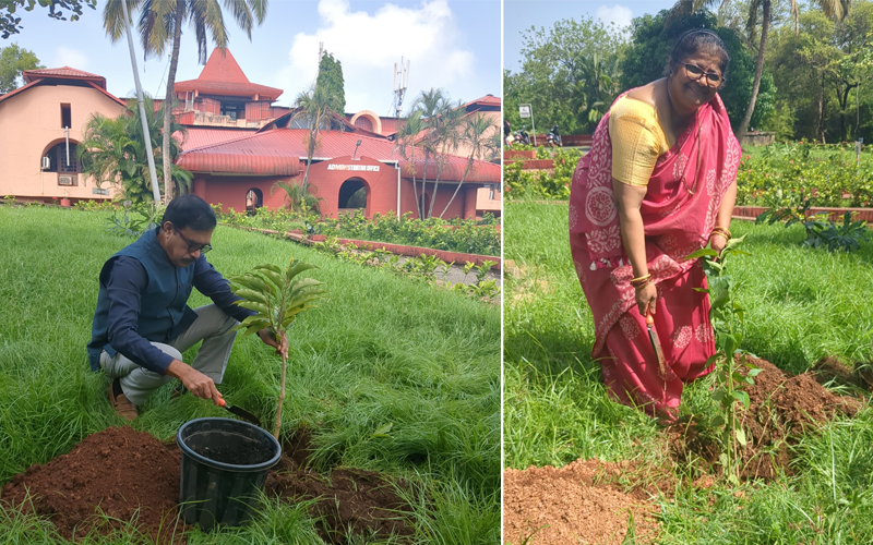 Tree Plantation on World Environment Day in collaboration with Goa State Biodiversity Board