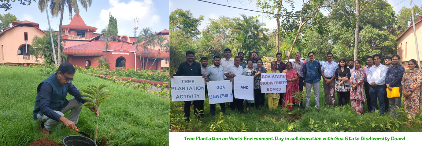 Tree Plantation on World Environment Day in collaboration with Goa State Biodiversity Board