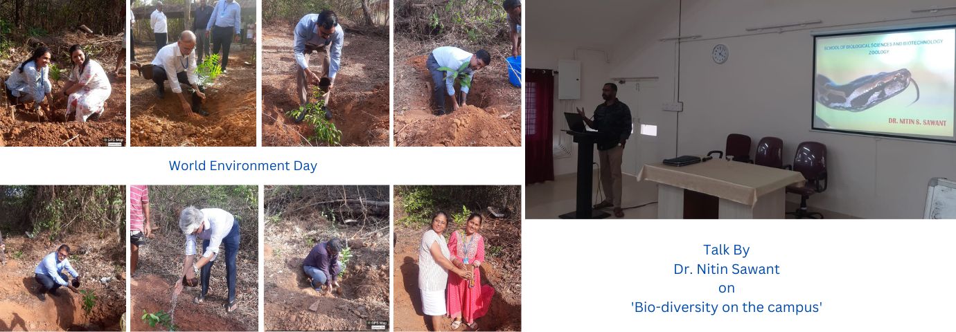 World Environment Day