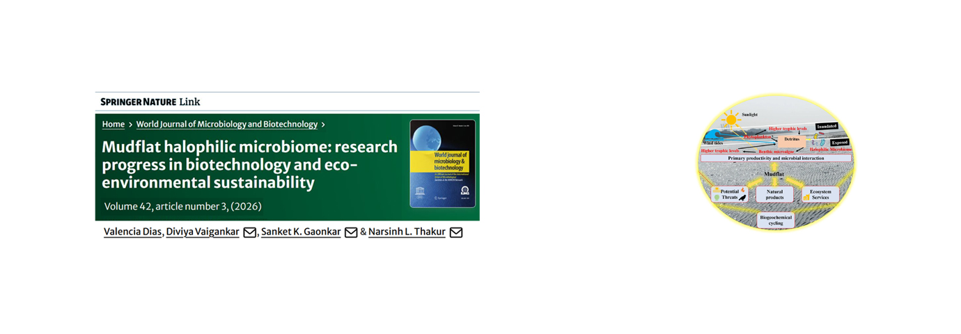 World Journal of Microbiology and Biotechnology. 42(1); 2026; ArticleID_3